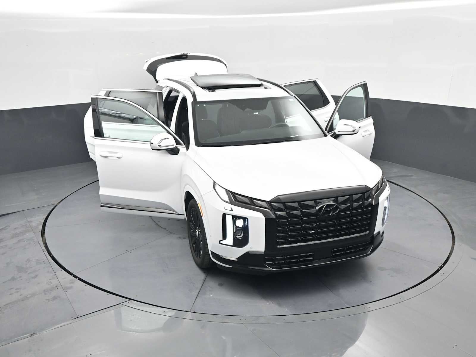 2025 Hyundai Palisade Calligraphy Night Edition